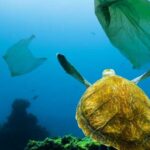 How can India deal with the tidal wave of marine plastic?