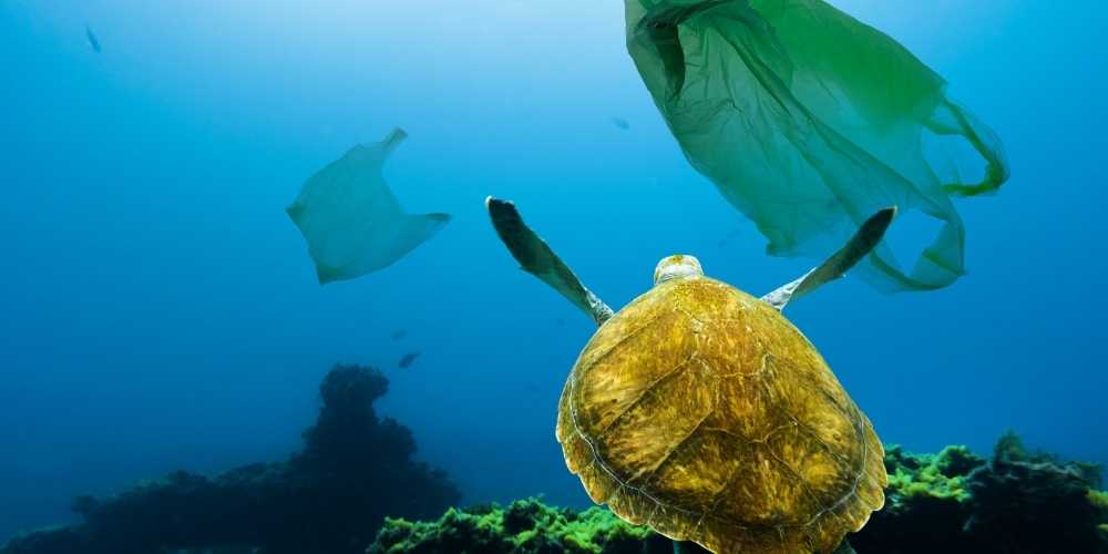 How can India deal with the tidal wave of marine plastic?