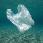 The Future of Plastics: Sustainability and Innovation