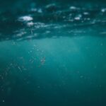 Microplastics: The Invisible Threat to Our Oceans and Health