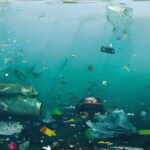 The Environmental Impact of Plastic Pollution: A Global Crisis