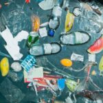 The Role of Consumer Behavior in Plastic Waste Reduction