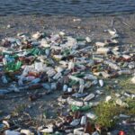 Reducing Plastic Pollution: Simple Steps for Everyone