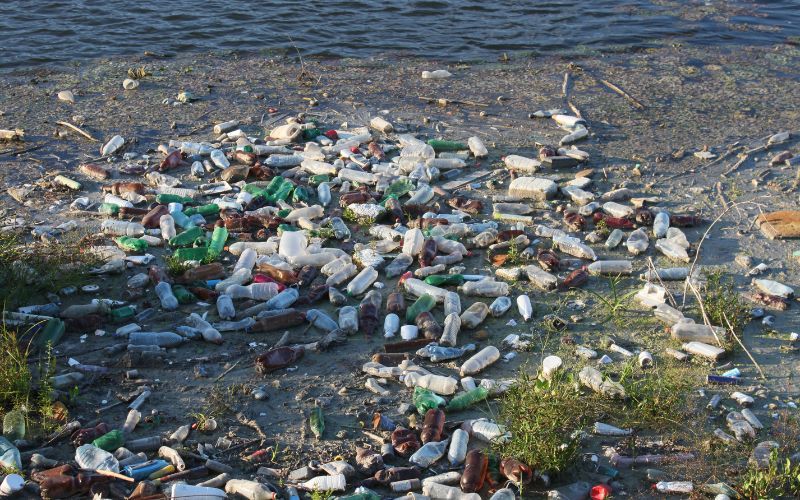 Reducing Plastic Pollution Simple Steps for Everyone