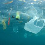 The Ocean’s Plastic Crisis: What We Can Do