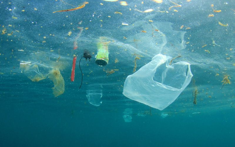 The Ocean’s Plastic Crisis: What We Can Do